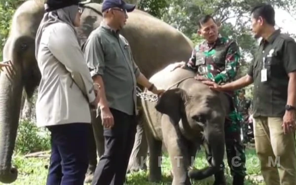 Thumbnail Berita - TNI Dikerahkan Kawal Pembangunan 70 Km Pagar Permanen Way Kambas