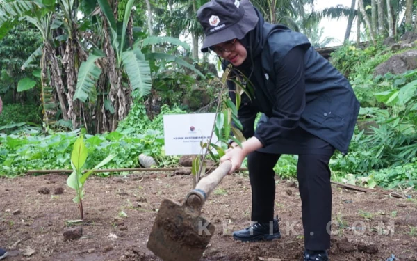 Bersama Bupati Ipuk, PDI Perjuangan Banyuwangi Tanam Pohon dan Tebar Benih Ikan di Sumber Waras