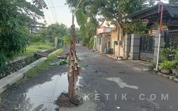 Thumbnail Berita - Kesal Dua Tahun Jalan ke Makam Rusak, Warga Mojowarno Jombang Tanami Pisang dan Singkong