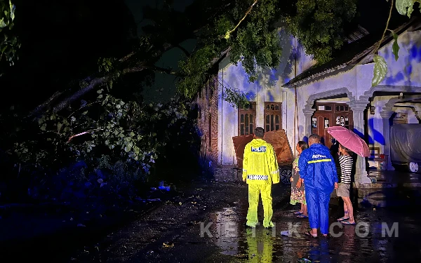 Angin Kencang Disertai Hujan Deras Terjang Ponggok Blitar, Pohon Roboh Rusak Rumah Warga