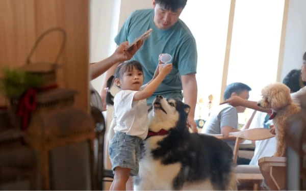 Thumbnail Berita - Surga Pecinta Anabul! Tiga Kafe Pet Friendly di Kota Malang yang Bikin Betah