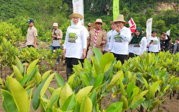 Thumbnail Berita - Lahan Basah, Ekosistem Strategis Penyangga Kehidupan dan Benteng Alami Indonesia