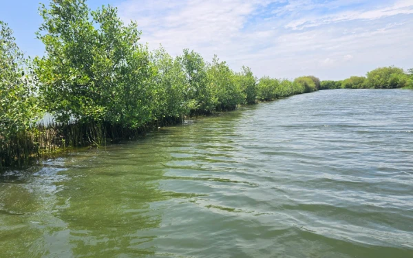 Thumbnail Berita - Cegah Laju Abrasi, DLHK Jateng dan Genta Pangan Mandiri Perkuat Benteng Hijau di Pesisir Kendal