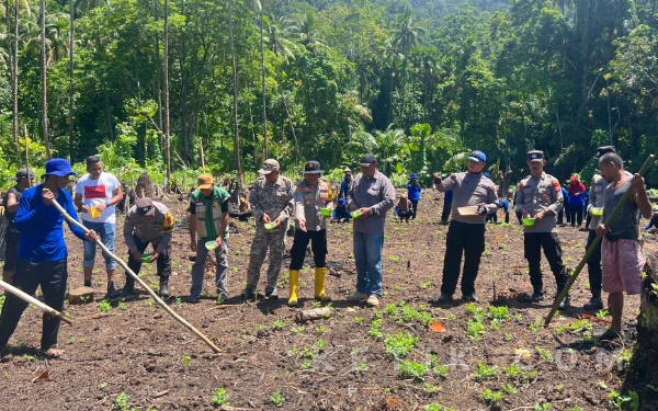 Thumbnail Berita - Kapolsek Gane Barat Pimpin Aksi Tanam Jagung, Dorong Ekonomi Petani Desa Moloku