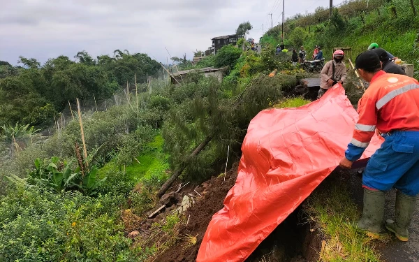 Thumbnail Berita - Hujan Deras Guyur Pasuruan, Jalan Kabupaten di Desa Andonosari Longsor