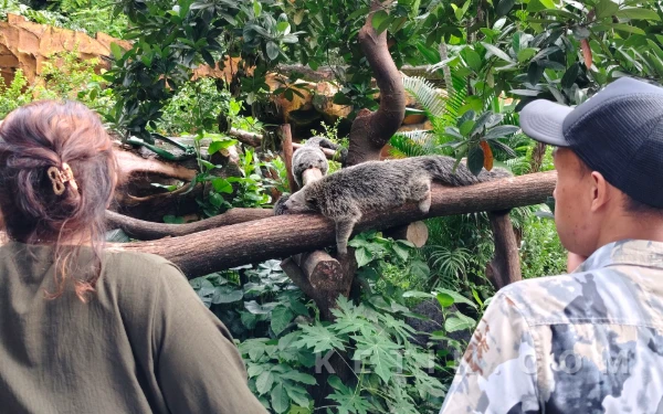 Thumbnail Berita - Usai Digeledah Kejati Jatim, Manajemen KBS Pastikan Perawatan dan PelayananTak Terganggu