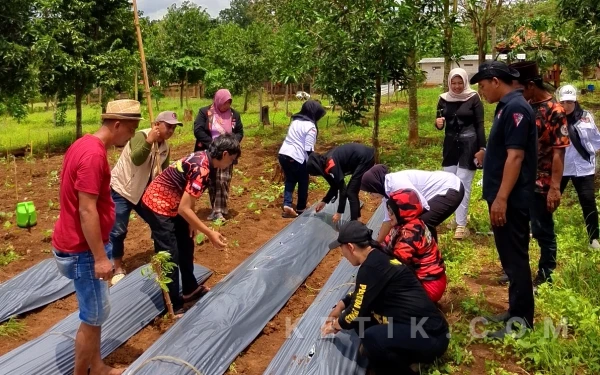 Thumbnail Berita - Srikandi Pemuda Pancasila Kendal "Nandur Bareng" di Sidomakmur