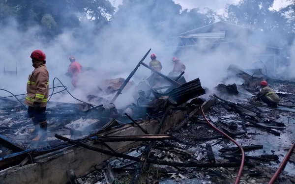 Thumbnail Berita - Kebakaran Peternakan di Kota Batu, 15.000 Ekor Ayam Mati dan Kerugian Capai Rp1 Miliar