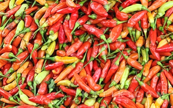 Thumbnail Berita - PEDAS! Harga Cabai Rawit di Surabaya Tembus Rp100 ribu per kilogram