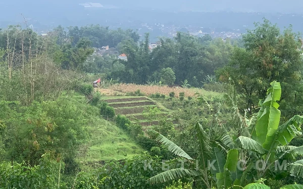 Thumbnail Berita - Cegah Longsor di Lahan Miring, Distan KP Batu Dorong Petani Terapkan Terasering