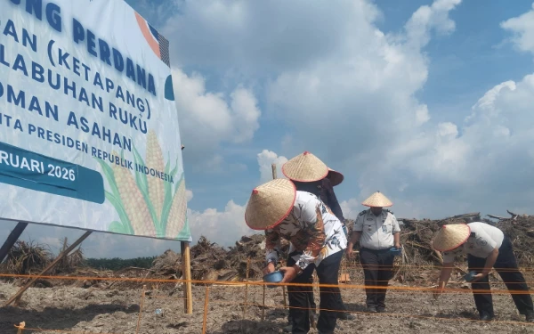 Thumbnail Berita - Hadiri Penanaman Jagung Perdana Program Ketahanan Pangan, Ini Pesan Wabup Asahan