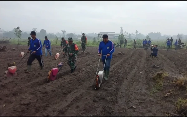 Thumbnail Berita - Wujudkan Ketahanan Pangan, TNI Tanam Jagung Seluas 1,1 Hektar di TMMD Ke-127 Kabupaten Kediri