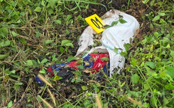 Thumbnail Berita - Seorang Pemuda Ditemukan Tewas di Jalan Kontainer Aimas, Jasadnya Terbungkus Karung