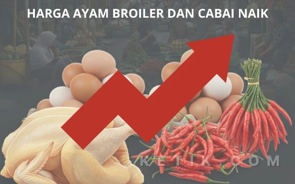 Thumbnail Cabai Rawit Tembus Rp100 Ribu Saat Ramadan, Harga Ayam Broiler di Kota Malang Ikut Melejit