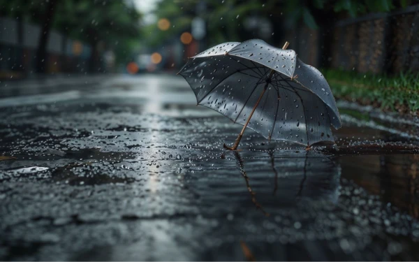 Thumbnail Berita - Perkiraan Cuaca Kota Malang 21 Februari 2026, Waspadai Hujan Ringan