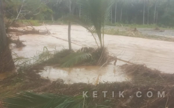 Thumbnail Berita - Kerugian Petani Membengkak, Banjir Berulang di Obi Seret Nama PT Poleko Yubarsons