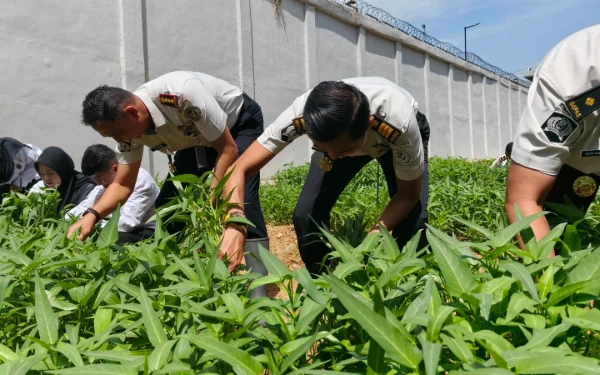 Thumbnail Berita - Lapas Batam Panen Sayur Kangkung, Wujudkan Ketahanan Pangan dan Asta Cita Presiden