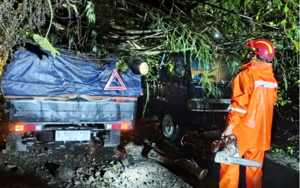 Thumbnail Berita - Hujan Angin Terjang Kota Batu, 31 Pohon Tumbang Tutup Akses Jalan