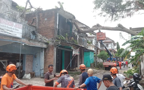 Thumbnail Diterjang Angin Kencang, Pohon 15 Meter Tumbang Timpa 3 Rumah di Muharto Kota Malang