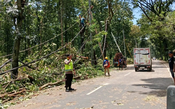 Pohon Tumbang Rusak Kabel Listrik di Pemalang, Polisi Amankan Proses Perbaikan