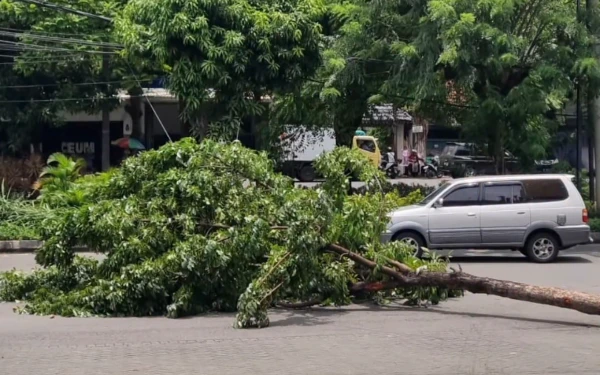 Thumbnail Berita - Tim Call 112 Evakuasi Pohon Tumbang di Jalan Pecindilan Surabaya