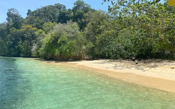 Thumbnail Berita - Pesona Pantai Waru-Waru, Surga Tersembunyi di Malang Selatan