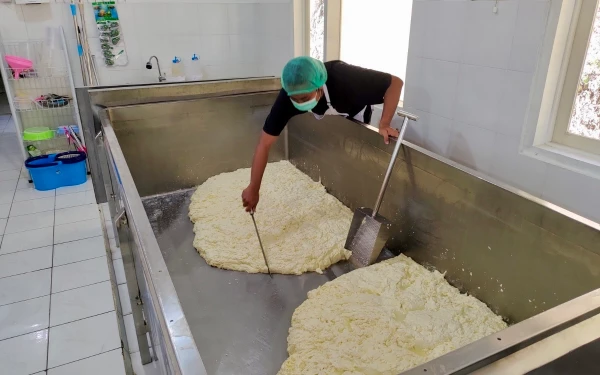 Thumbnail Berita - Mozzarella Chizzu Koperasi Brau Kota Batu Laris Manis, Naik 50 Persen Selama Ramadan