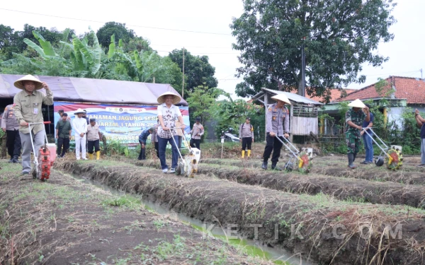 Thumbnail Berita - Brebes Gelar Penanaman Jagung Serentak, Dukung Swasembada Pangan Nasional