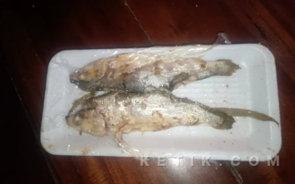 Thumbnail Berita - Wali Murid Keluhkan Ikan Diduga Busuk dan Berulat dalam Menu MBG di SDN Rongtengah 2 Sampang