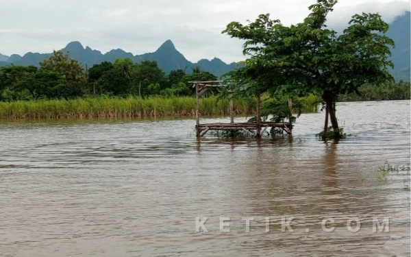 Thumbnail Berita - Akibat Banjir, Kerusakan Lahan Pertanian di Situbondo Meluas