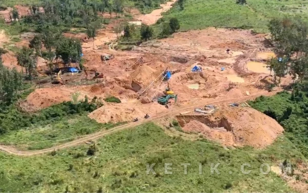 200 Hektar Lahan PTPN Dijadikan Tambang Emas Ilegal