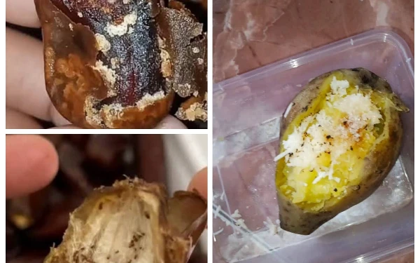 Sekelumit Masalah Menu MBG Lumajang: Telur Puyuh Busuk Sempat Ditemukan di Sukodono