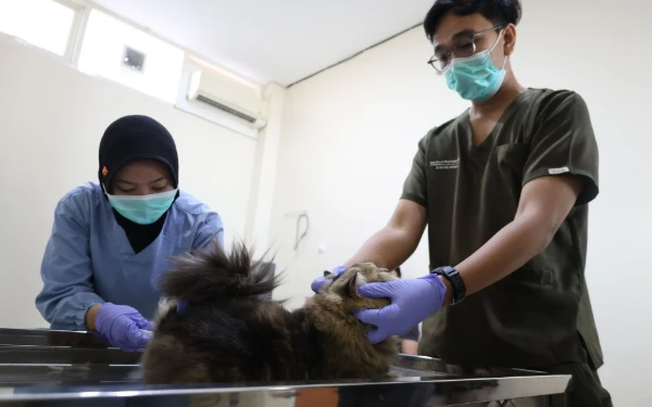 Thumbnail Berita - Pemkot Surabaya Buka Penitipan Hewan saat Lebaran, Cek Jadwalnya di Sini