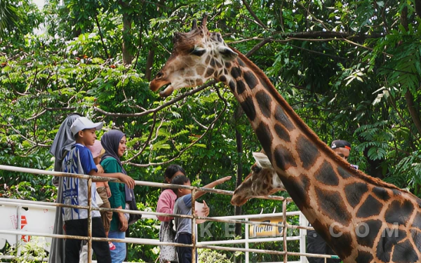 Thumbnail Berita - 5 Rekomendasi Tempat Wisata di Surabaya untuk Libur Lebaran Bersama Keluarga