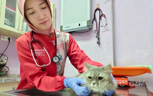 Thumbnail Berita - Jangan Asal Sayang, Simak 4 Tips Merawat Hewan Peliharaan Agar Tetap Sehat Sebelum Mudik Lebaran