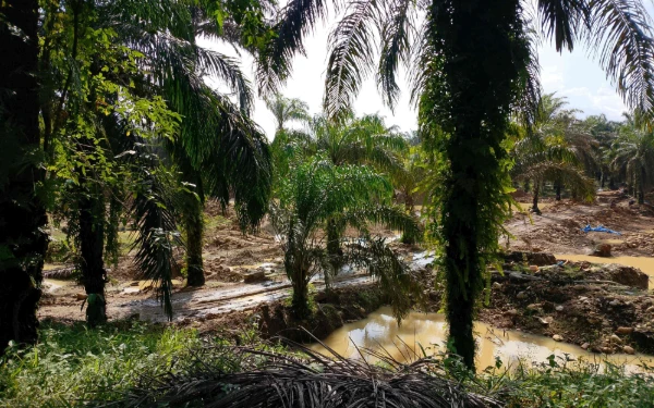 Thumbnail Berita - PETI di Sungai Aur Pasaman Barat Terus Berjalan, Oknum Kepala Jorong Diduga Abaikan Instruksi Gubernur