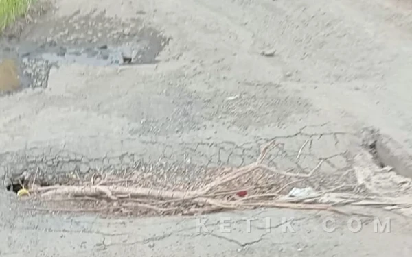 Thumbnail Berita - Jalan Tegalwulung Brebes Rusak Parah, Warga Minta Segera Perbaikan