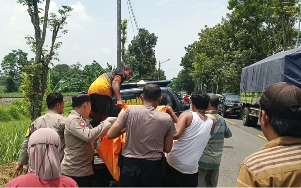 Thumbnail Berita - Lansia Tewas Tertabrak KA Sri Tanjung di Jember, Diduga Tak Sadar Kereta Melintas