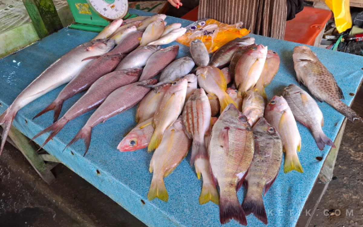 Thumbnail Berita - Harga Ikan Setara Komoditas, Fluktuasi Pasar Labuha Tipis