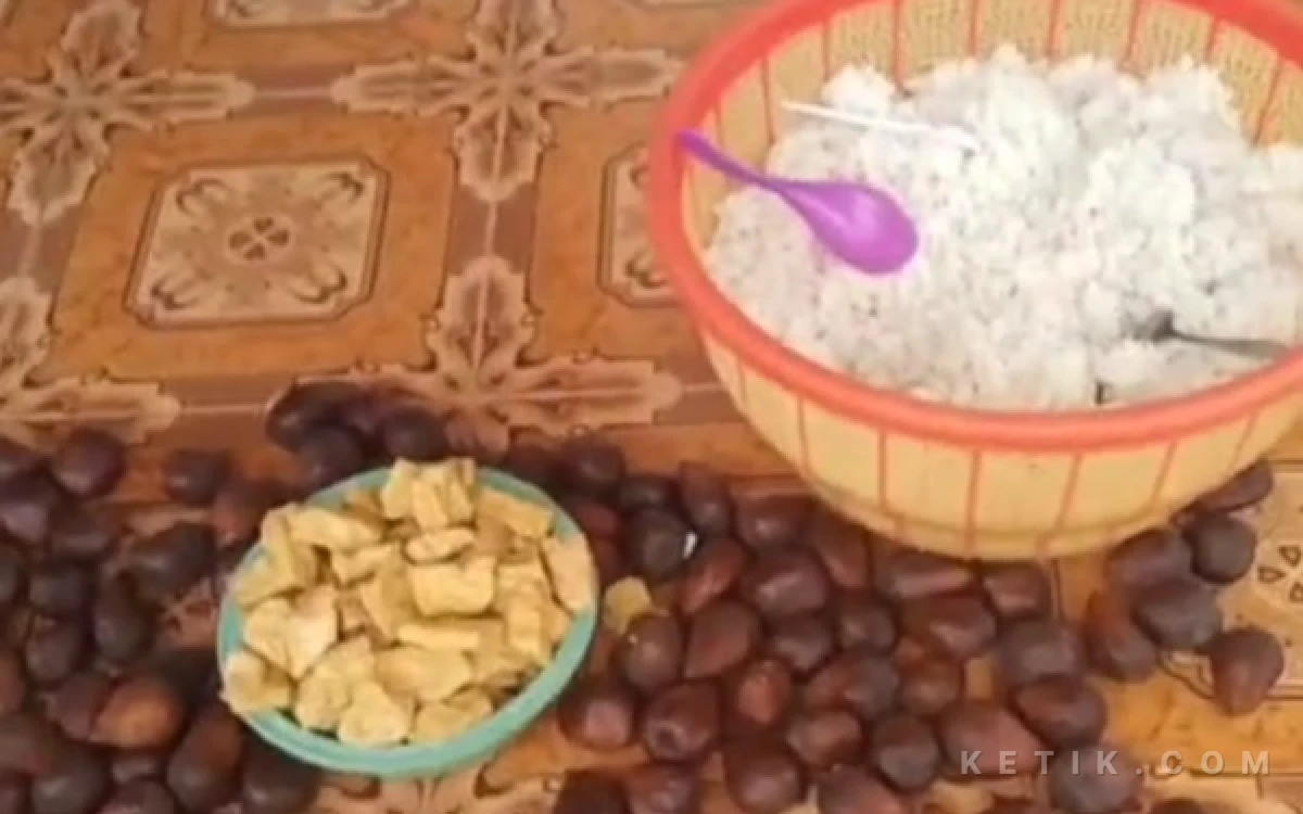 Thumbnail Berita - Dari Ompreng ke Keranjang, Badan Gizi Nasional Soroti Pendistribusian MBG dari SPPG At-Taufiq Robatal