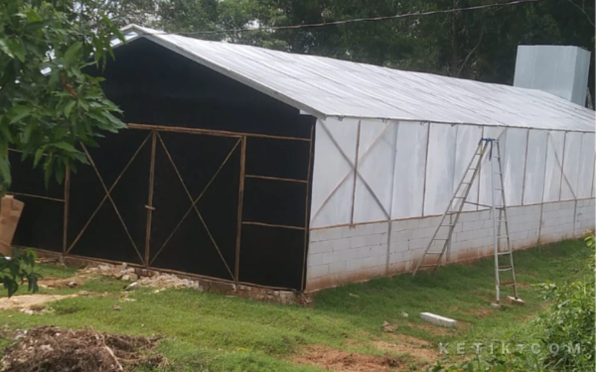 Thumbnail Berita - Bau Limbah Kotoran Ayam Dikeluhkan Warga Bunten Barat Sampang, Diduga Milik Andi