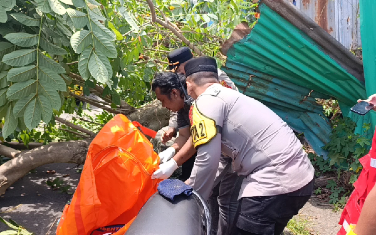 Thumbnail Berita - Detik-Detik Pohon Tumbang di Jalan Kapten A Rivai Palembang, Ojol Tewas di Tempat