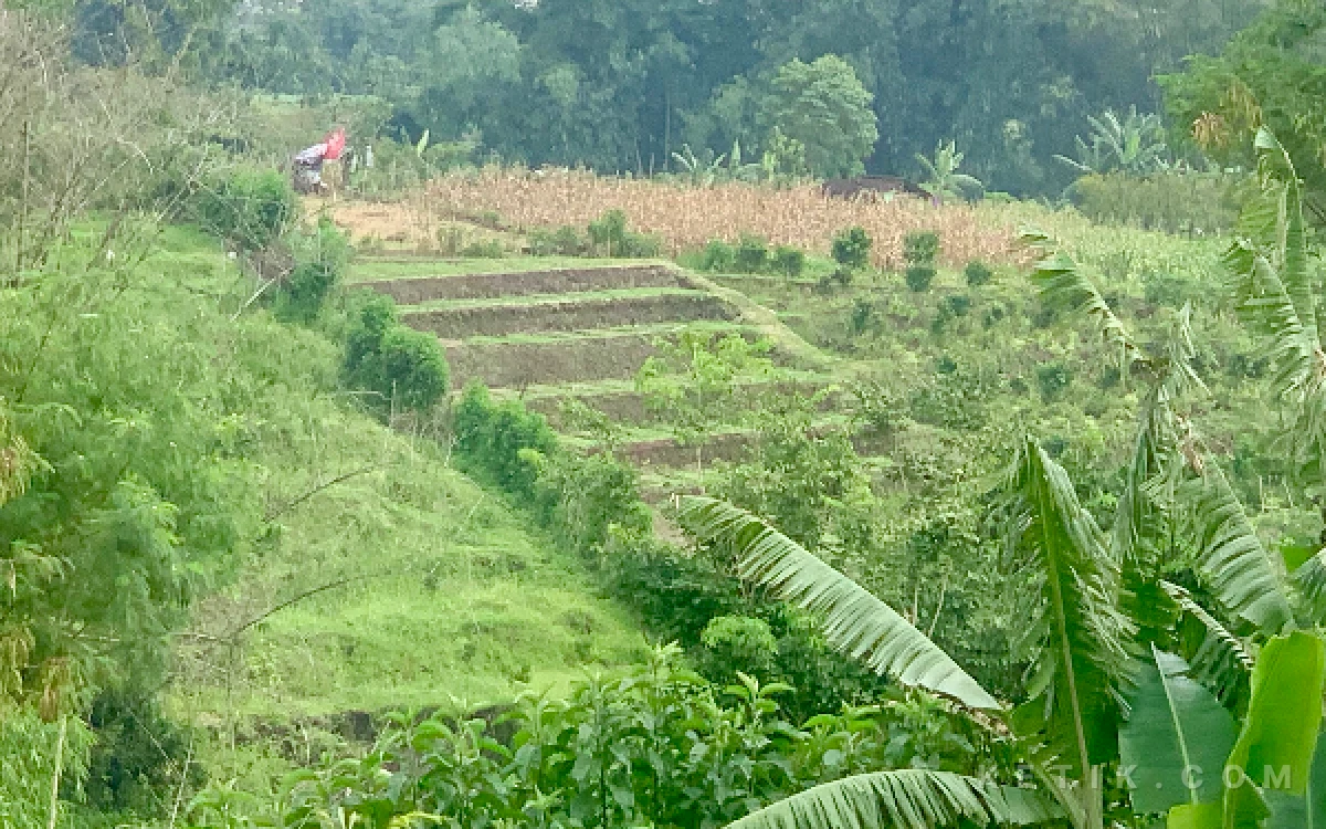 Wali Kota Batu Soroti Minimnya Terasering, Pemicu Banjir Luapan di Bumiaji