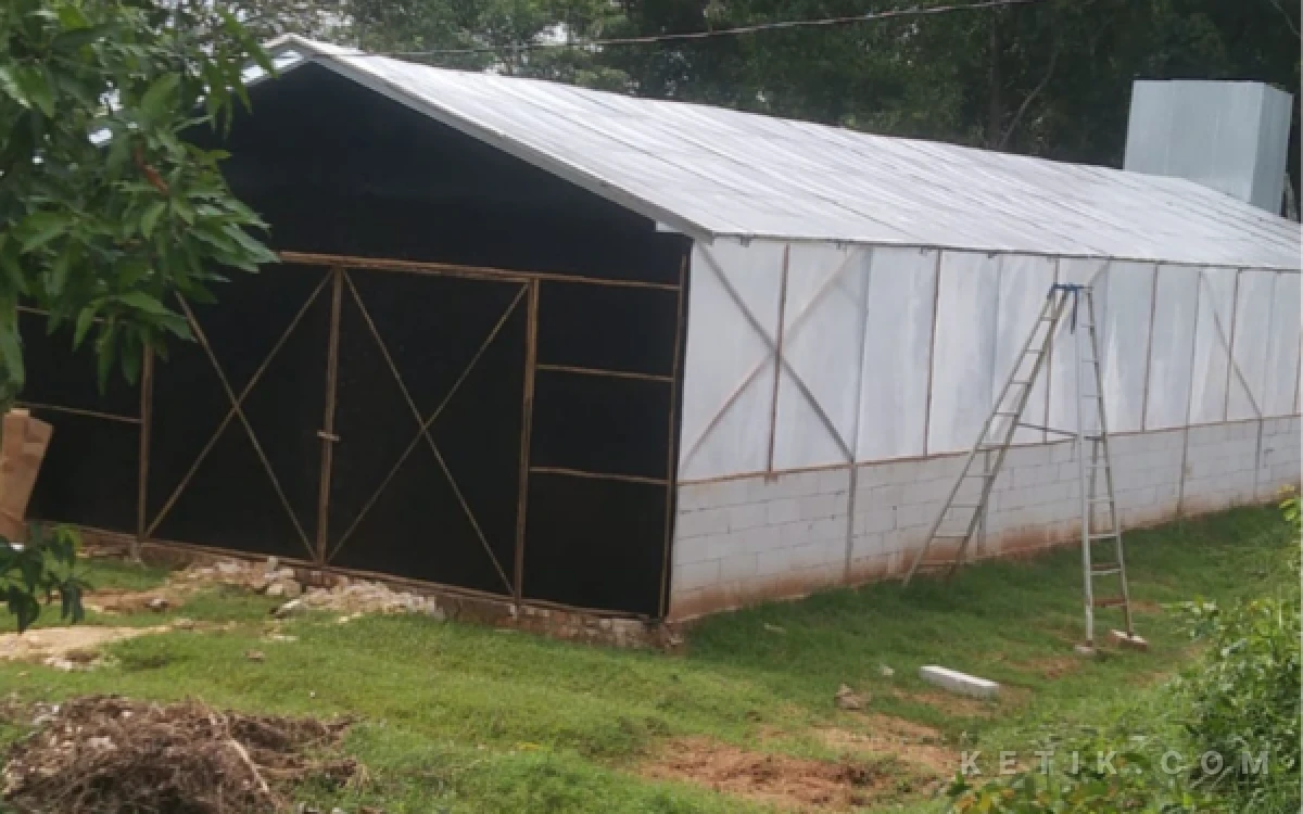 Thumbnail Berita - Ganggu Warga, Kades Bunten Barat Sampang Minta Keponakan Tutup Penampungan Kotoran Ayam