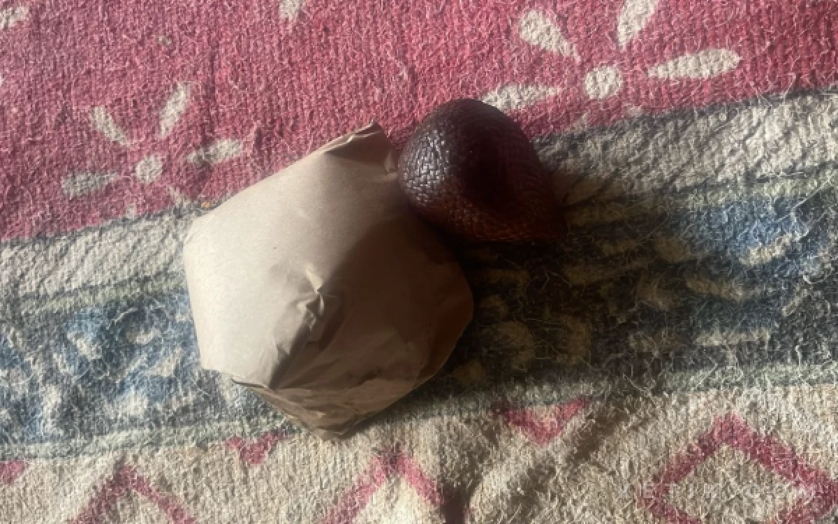 Thumbnail Berita - MBG Dibungkus Kertas: SPPG Tambelangan Banjarbillah Salahkan Kader Posyandu, Kader Klaim Sudah Diizinkan Dapur