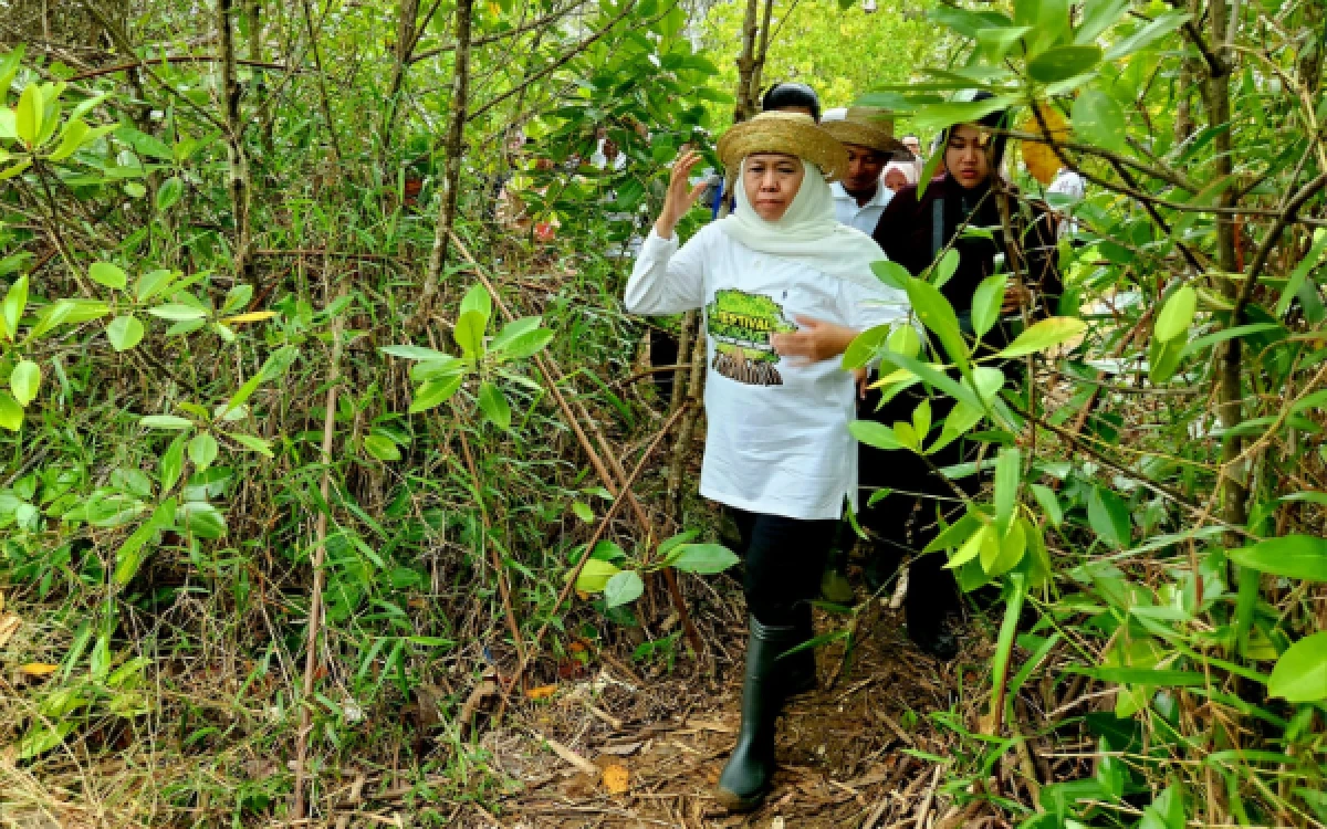 Thumbnail Berita - Tertinggi Nasional! Gubernur Khofifah Bersyukur Nilai Transaksi Ekonomi KTH Jatim Capai Rp367,95 M