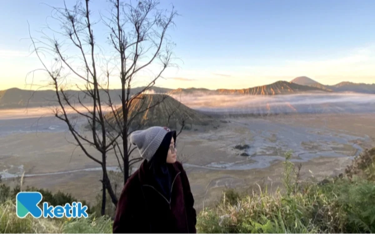 Thumbnail Berita - Pemulihan Ekosistem, Kawasan Gunung Bromo Ditutup Sepekan