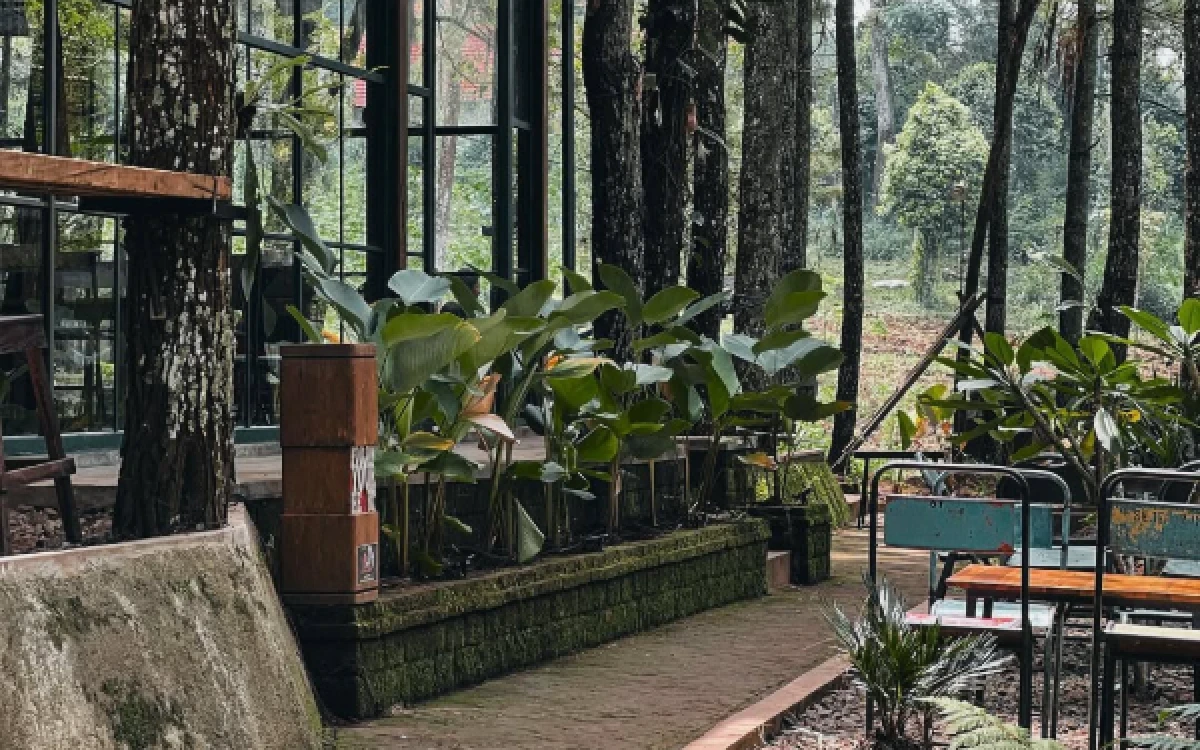 Thumbnail Berita - Area Barat Cafe Batu, Tempat Ngopi di Tengah Hutan dengan Suasana Healing yang Menenangkan