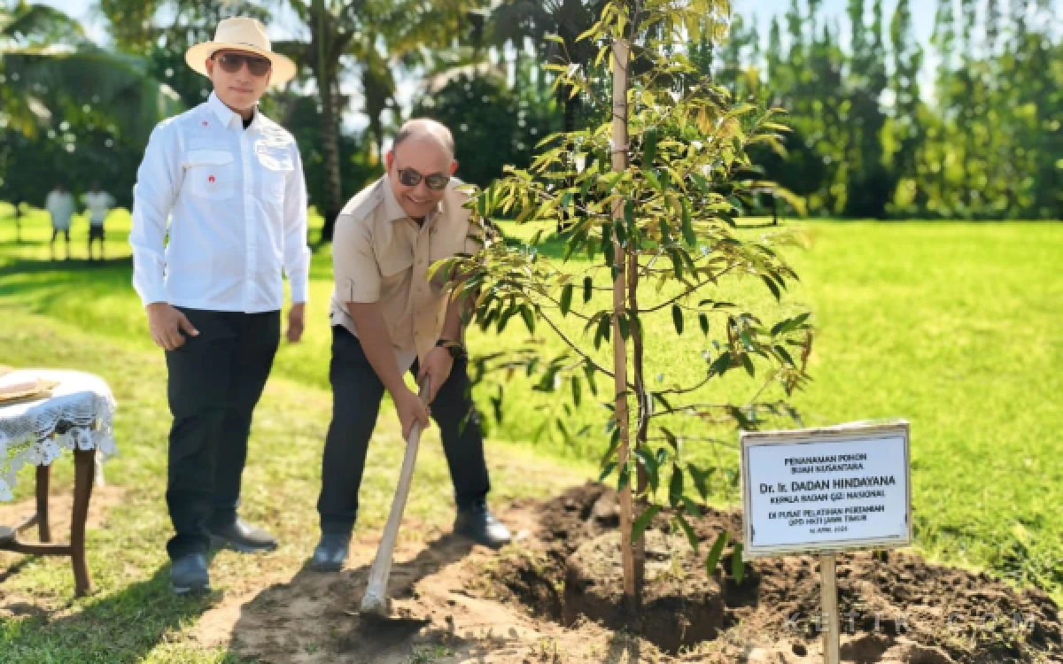 Thumbnail Berita - Tanam Black Thorn di Padepokan HM Arum Sabil Jember, Kepala BGN Dadan Indayana Tebarkan Semangat Kemandirian Pangan