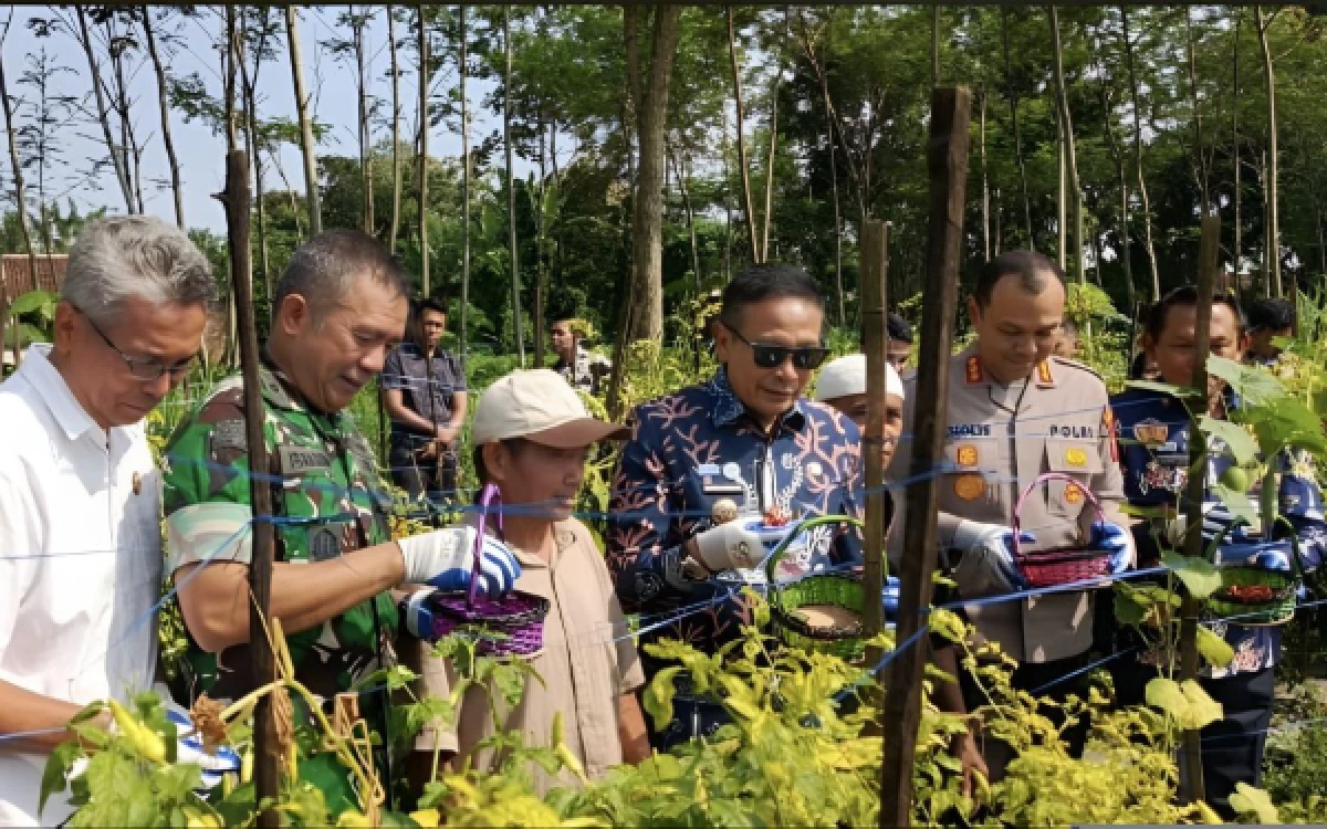 Thumbnail Berita - Harga Cabai di Kota Malang Tembus Rp100 Ribu, Wahyu Hidayat Heran: Di Petani Cuma Rp40 Ribu